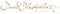 DAVID CHRISTOPHER'S COLLECTION - 29%E2%80%9D%20Metallic%20Dipped%20Manzanita%20Branch%20-%20Bronze%20(6/36)%20PSH